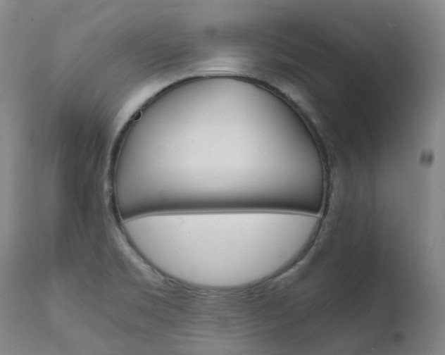 X0000111631469200907171117