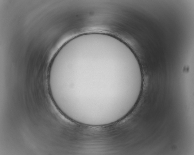 X0000111631470200907171117