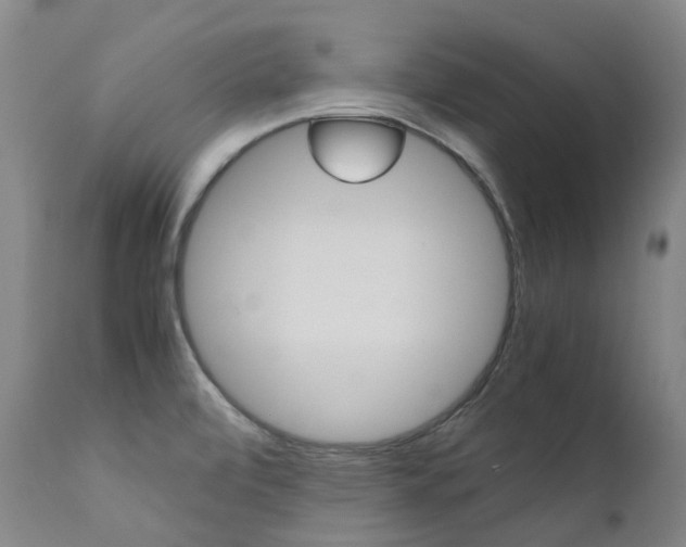 X0000111631472200907171117