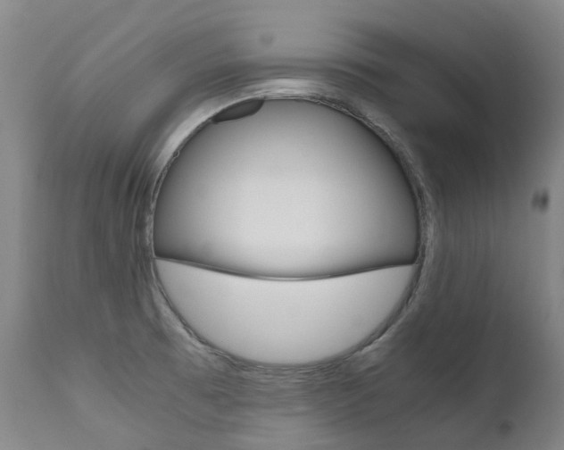 X0000111631473200907171117