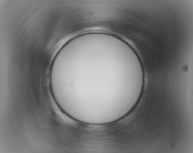 X0000111631474200907171117