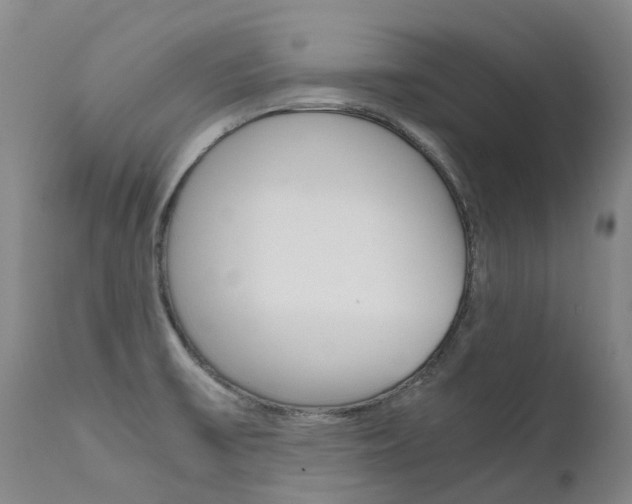 X0000111631475200907171117
