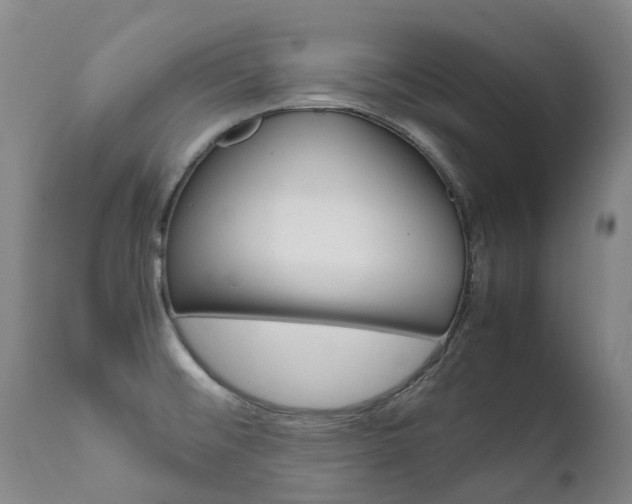 X0000111631476200907171117