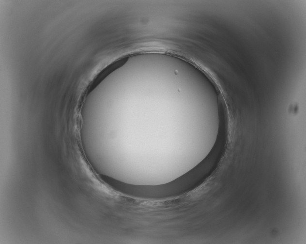 X0000111631477200907171117