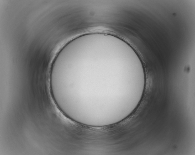 X0000111631478200907171117