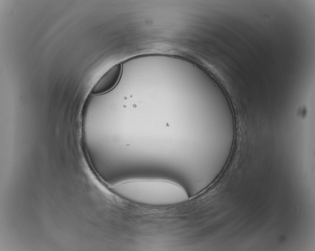 X0000111631479200907171117