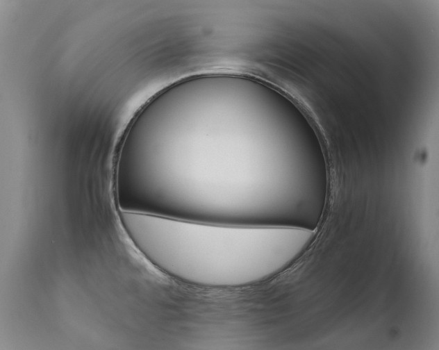 X0000111631480200907171117