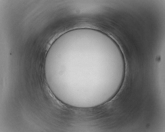 X0000111631481200907171117