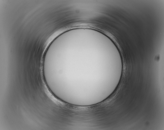 X0000111631482200907171117