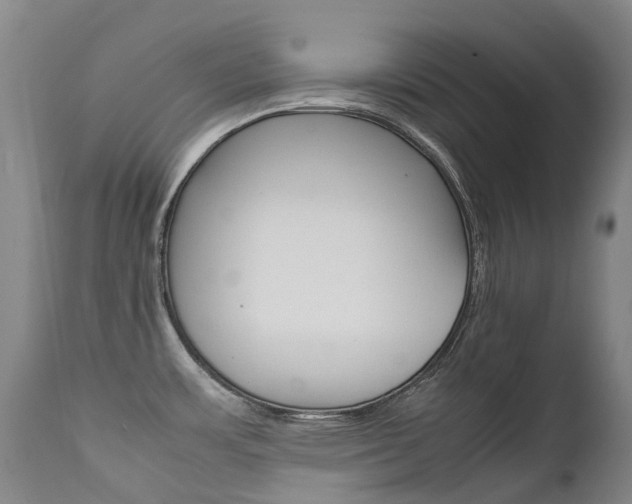 X0000111631483200907171117