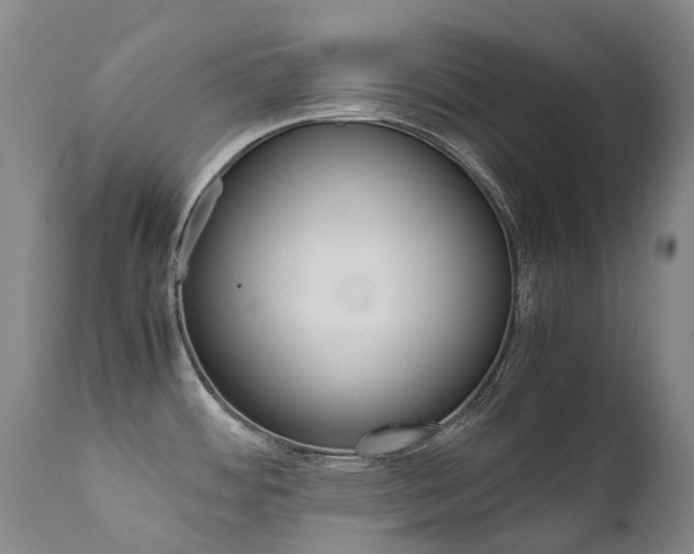 X0000111631484200907171117