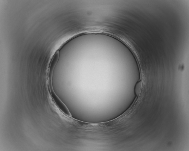 X0000111631485200907171117