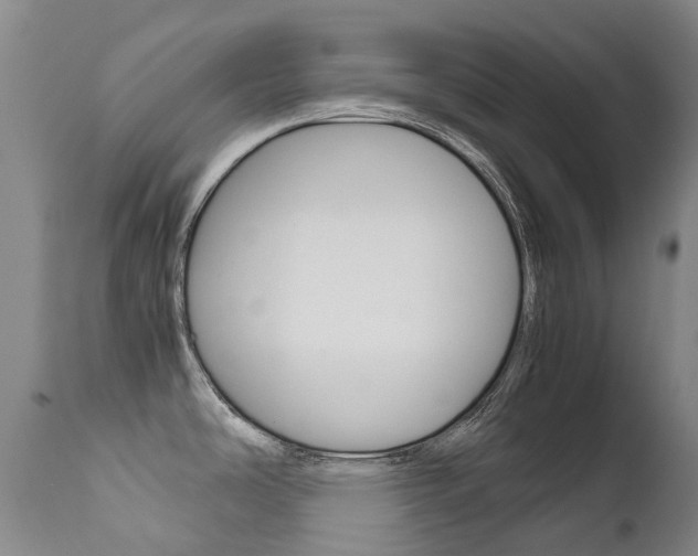 X0000111631486200907171116