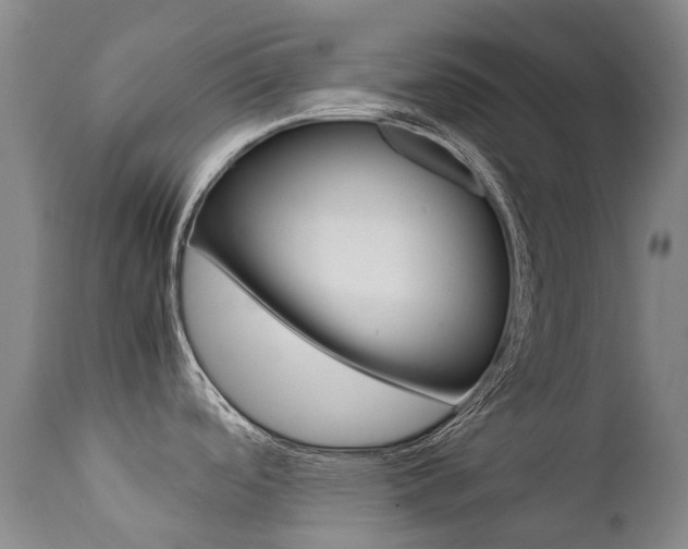 X0000111631488200907171116