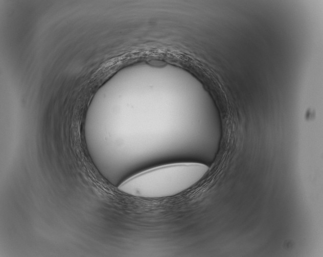 X0000111631489200907171116