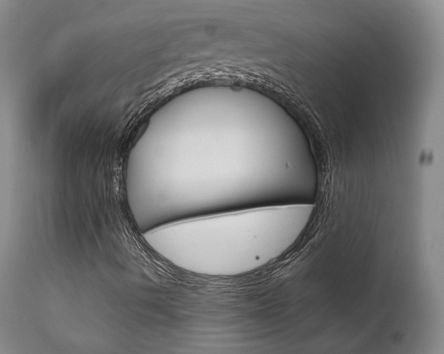 X0000111631490200907171116