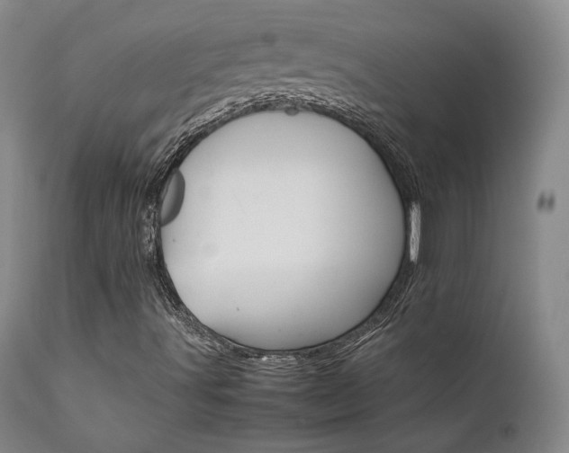 X0000111631491200907171116