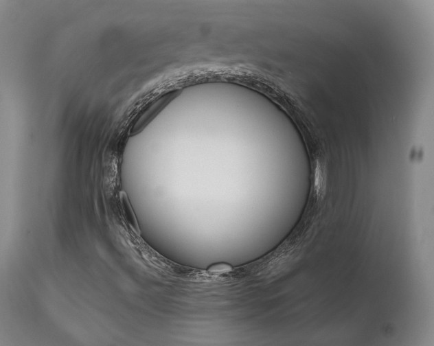 X0000111631492200907171116
