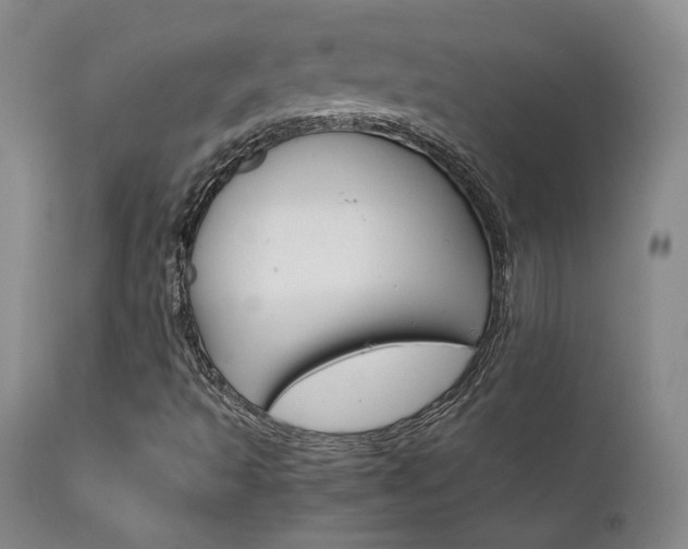 X0000111631493200907171116