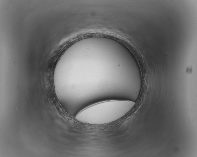 X0000111631494200907171116