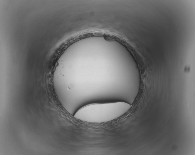 X0000111631495200907171116