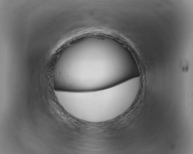 X0000111631496200907171116
