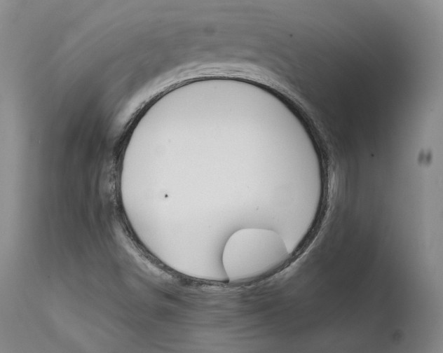 X0000111631498200907171116