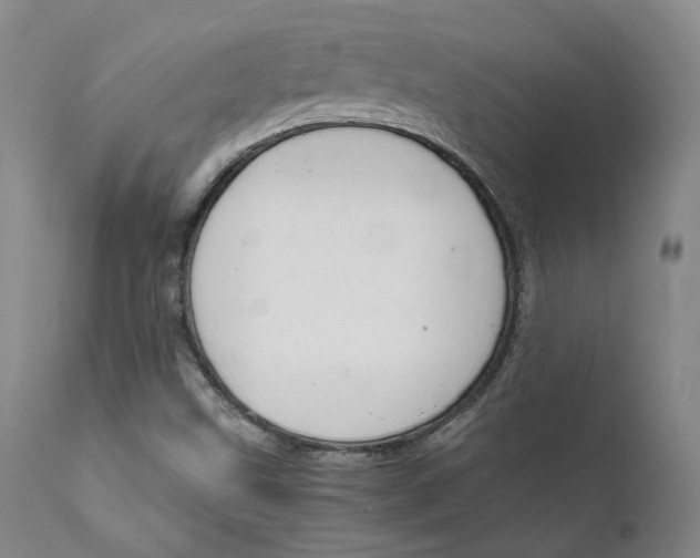 X0000111631499200907171116