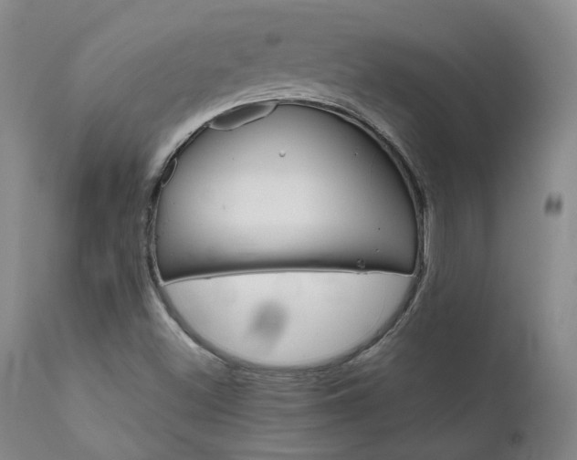 X0000111631500200907171116