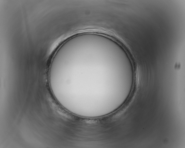 X0000111631501200907171116
