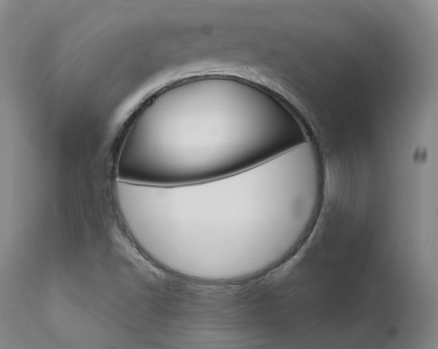 X0000111631502200907171116