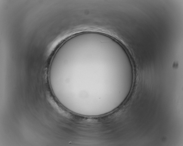 X0000111631503200907171116