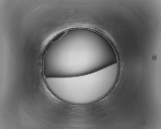 X0000111631504200907171116