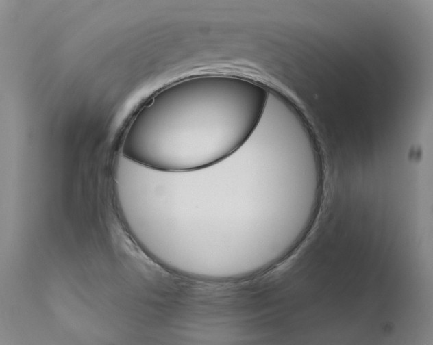 X0000111631506200907171116