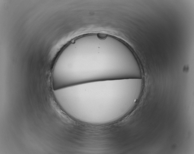 X0000111631507200907171116