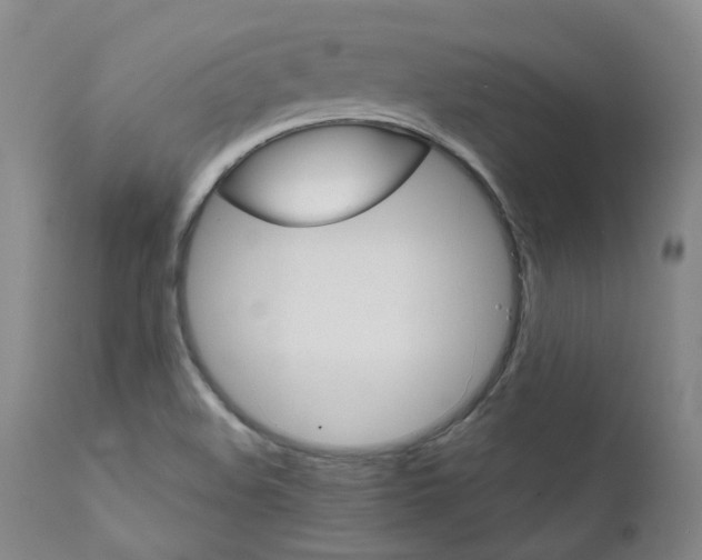 X0000111631508200907171116