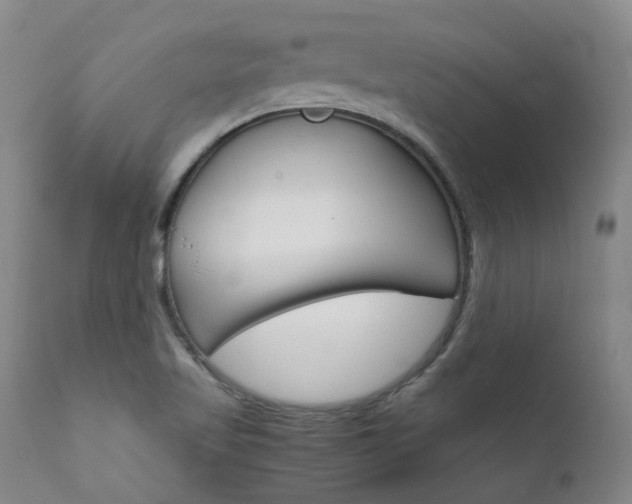 X0000111631509200907171116