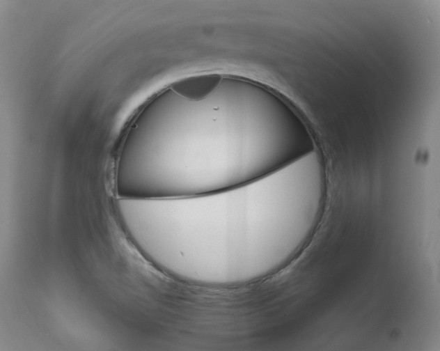 X0000111631510200907171116