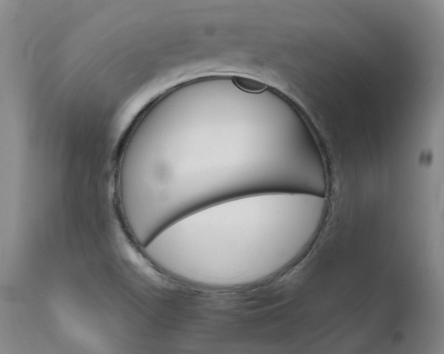 X0000111631511200907171116