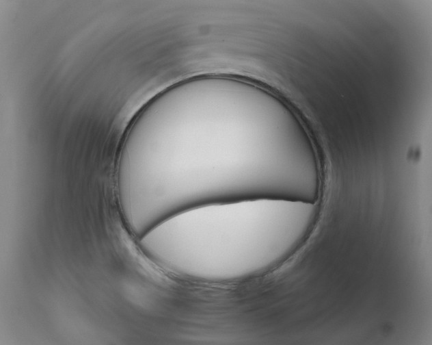 X0000111631513200907171116