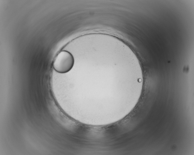 X0000111631514200907171116