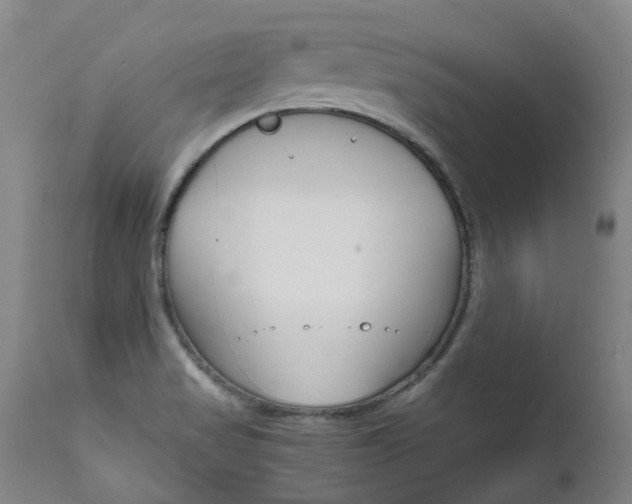 X0000111631517200907171116