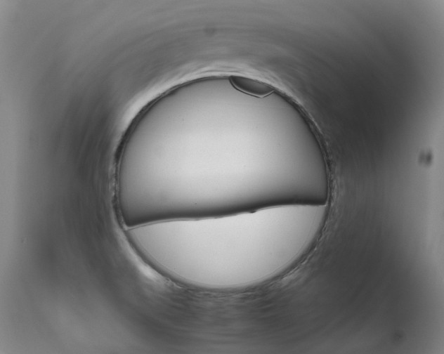 X0000111631519200907171116