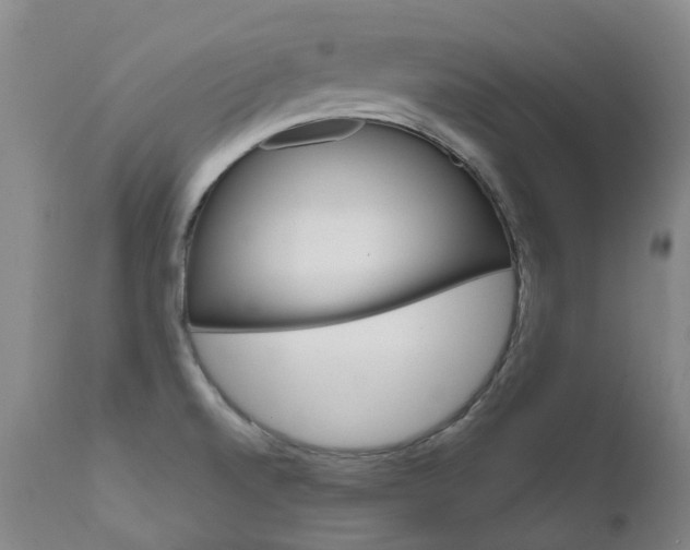 X0000111631520200907171116