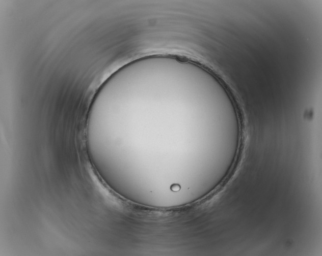 X0000111631521200907171116