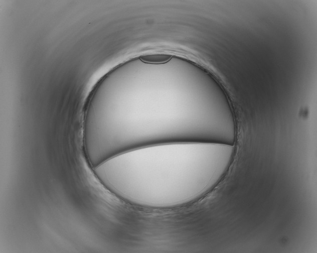 X0000111631522200907171116