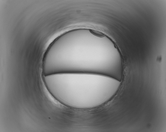 X0000111631523200907171116