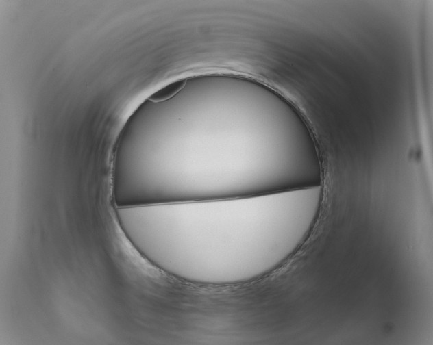 X0000111631524200907171116