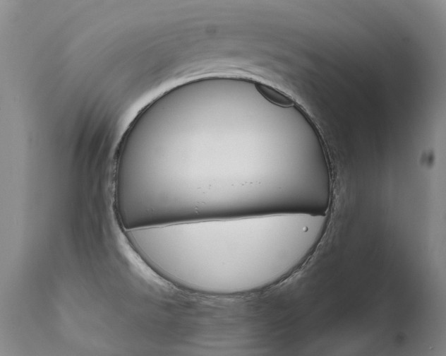 X0000111631526200907171116