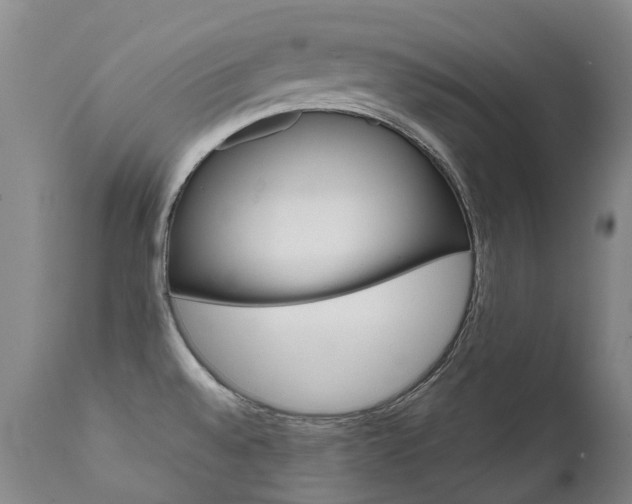 X0000111631528200907171116